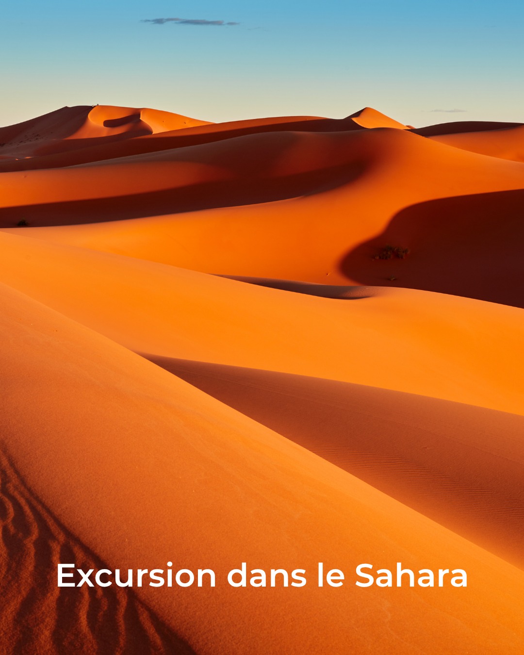 Entre Méditerranée, villes chargées d’histoire, oasis et paysages du Sahara, la Tunisie réserve bien des découvertes. 🇹🇳✨De Tunis à Djerba, en passant par Carthage et les dunes du désert, découvrez une destination riche en paysages, en culture et en saveurs, sans oublier l’incontournable brik tunisienne !Salon International Tourisme Voyages, présenté par YUL
🎟️ Réservez vos billets dès maintenant (lien en bio)
📅 30 octobre au 1er novembre 2026
📍 Palais des congrès de Montréal
__
From the Mediterranean to historic cities, lush oases and the landscapes of the Sahara, Tunisia offers endless discoveries. 🇹🇳✨From Tunis to Djerba, through Carthage and the desert dunes, discover a destination rich in landscapes, culture and flavours, not to mention the iconic Tunisian brik!International Tourism & Travel Show, presented by YUL
🎟️ Get your tickets now! (link in bio)
📅 October 30 to November 1, 2026
📍 Palais des congrès de Montréal