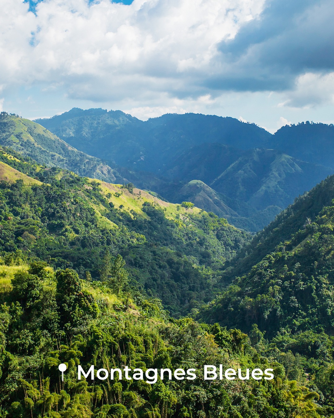 Bienvenue en Jamaïque ! 🇯🇲🌴Entre plages paradisiaques, cascades spectaculaires, nature luxuriante, culture reggae et saveurs typiques, la Jamaïque réserve bien plus d'une façon de la découvrir. ✨Quel incontournable aimeriez-vous découvrir en premier ?Salon International Tourisme Voyages, présenté par YUL
🎟️ Réservez vos billets dès maintenant (lien en bio)
📅 30 octobre au 1er novembre 2026
📍 Palais des congrès de Montréal
__
Welcome to Jamaica! 🇯🇲🌴From paradise beaches and spectacular waterfalls to lush landscapes, reggae culture and iconic flavours, Jamaica offers countless ways to experience the island. ✨Which must-see would you discover first?International Tourism & Travel Show, presented by YUL
🎟️ Get your tickets now! (link in bio)
📅 October 30 to November 1, 2026
📍 Palais des congrès de Montréal