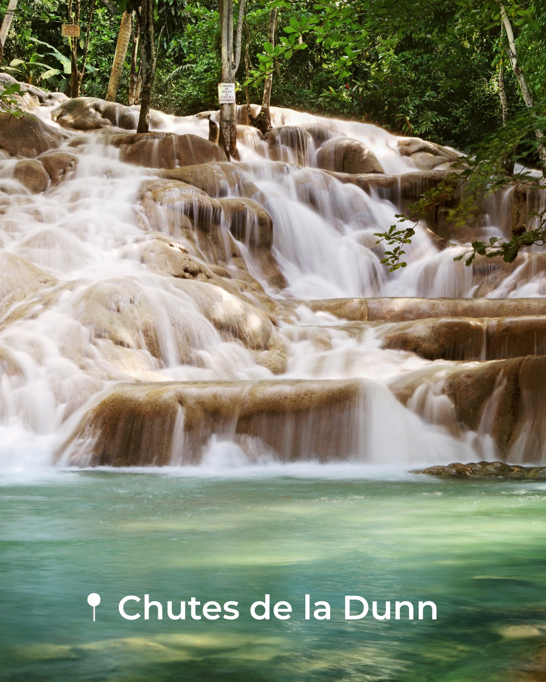 Bienvenue en Jamaïque ! 🇯🇲🌴Entre plages paradisiaques, cascades spectaculaires, nature luxuriante, culture reggae et saveurs typiques, la Jamaïque réserve bien plus d'une façon de la découvrir. ✨Quel incontournable aimeriez-vous découvrir en premier ?Salon International Tourisme Voyages, présenté par YUL
🎟️ Réservez vos billets dès maintenant (lien en bio)
📅 30 octobre au 1er novembre 2026
📍 Palais des congrès de Montréal
__
Welcome to Jamaica! 🇯🇲🌴From paradise beaches and spectacular waterfalls to lush landscapes, reggae culture and iconic flavours, Jamaica offers countless ways to experience the island. ✨Which must-see would you discover first?International Tourism & Travel Show, presented by YUL
🎟️ Get your tickets now! (link in bio)
📅 October 30 to November 1, 2026
📍 Palais des congrès de Montréal