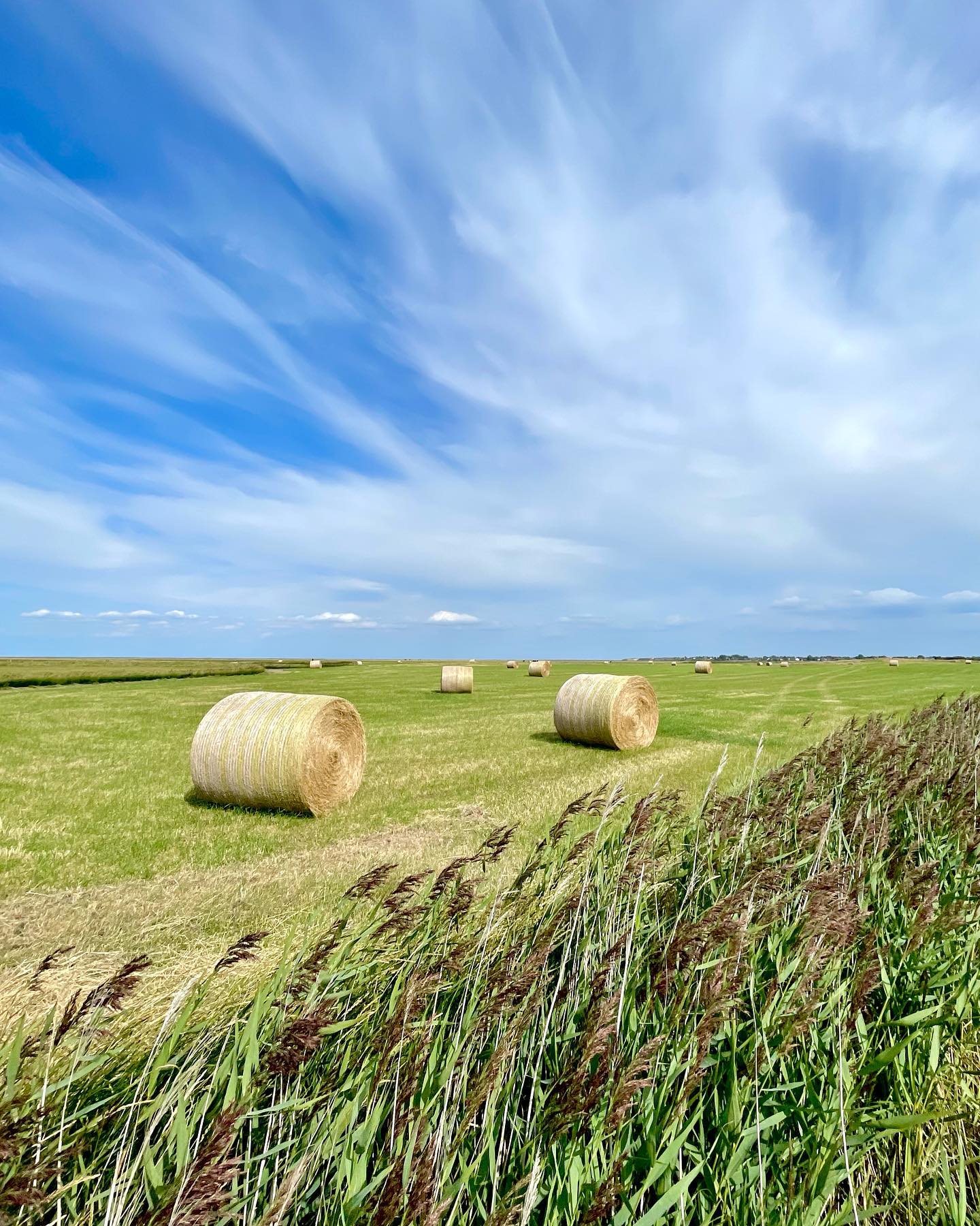 S Y L T 💖#inselenergie #genießen #zeitzuzweit #radfahrenbisderpowehtut #vielfaltistschönheit #ichliebedasmeersosehr #ruhe #naturliebe #dünen #sylt2022 #urlaubsspaß #friedeseimiteuch 💫