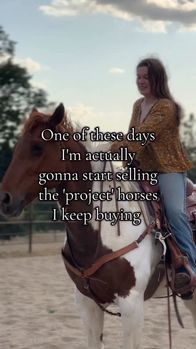 It's a sickness.
#horses #equestrian #horselife #libertyhorsemanship #horseriding