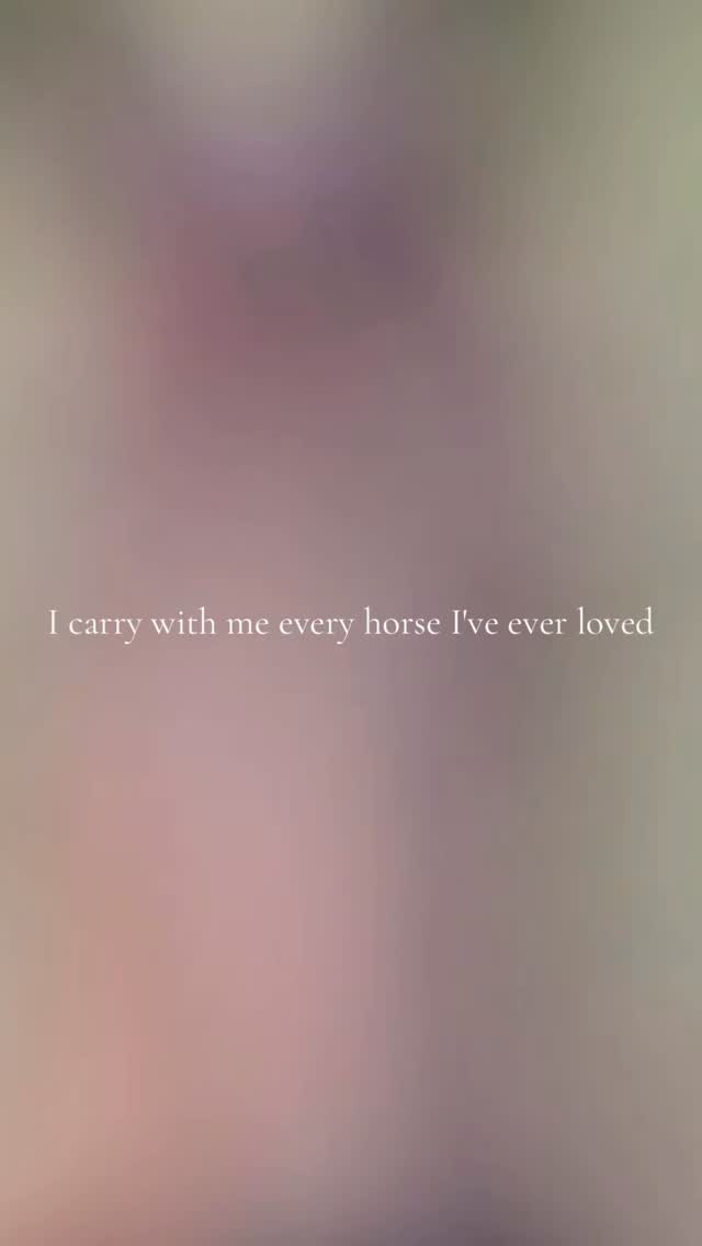 Thankful for these gentle giants ❤️
#horses #horseriding #horsetrainer #horselife #libertyhorsemanship