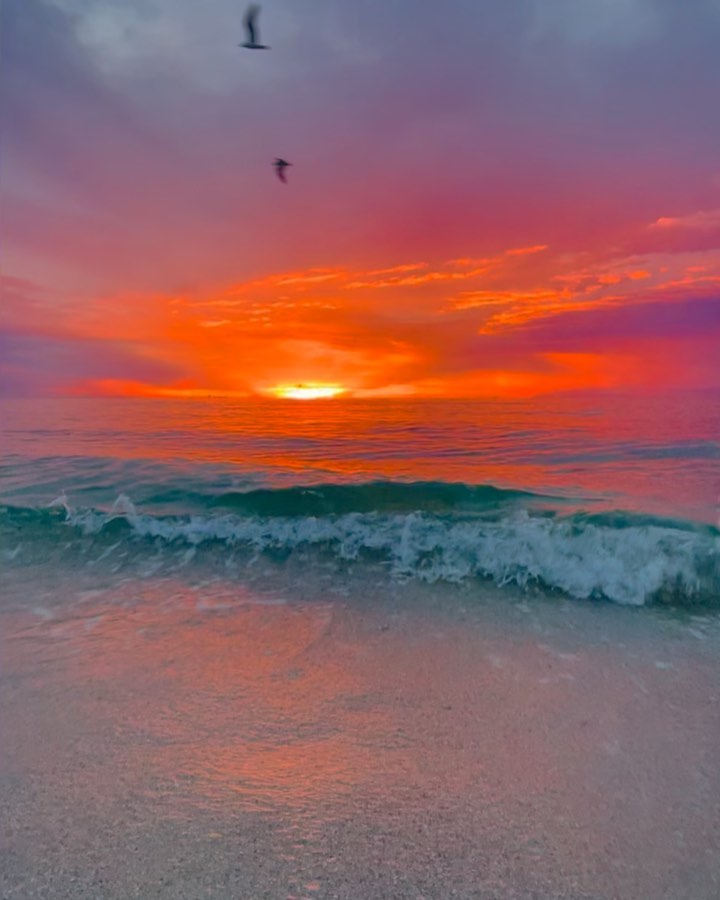 🅂🄾🄽🄽🄴🄽🄰🅄🄵🄶🄰🄽🄶.☀️
Dieser Moment hat sich in mein Herz gebrannt.
Wie sich die Sonne aus dem Meer heraus erhebt. In einer wundervollen Farbenpracht. Nicht für den Verstand gedacht. Vielmehr fürs Herz. Eine direkte Verbindung. Ein Aufruf. Mich sanft zu erheben. Gleichzeitig hinzugeben. Im Farbenmeer des Lebens zu schweben.
Um klar und leuchtend aufzusteigen. Mich zu zeigen. Als helles Licht zu scheinen.
#magicmoments #freude #weiteimherzen #sunrise #allesfließt #diesefarben #genießen #liebeistüberall #poesie #spirit #fliegen #bewusstsein #fühlen #gänsehaut #spassammorgen