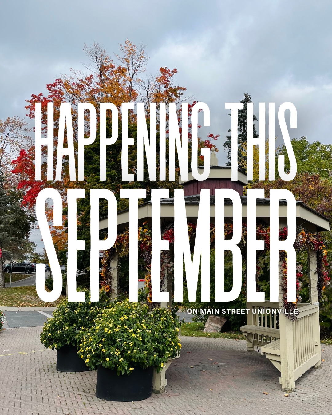 There is so much to do on Main Street Unionville this September 🍂☕️ What are you most excited for?
#UnionvilleMainStreet #LifeIsBetterInUnionville